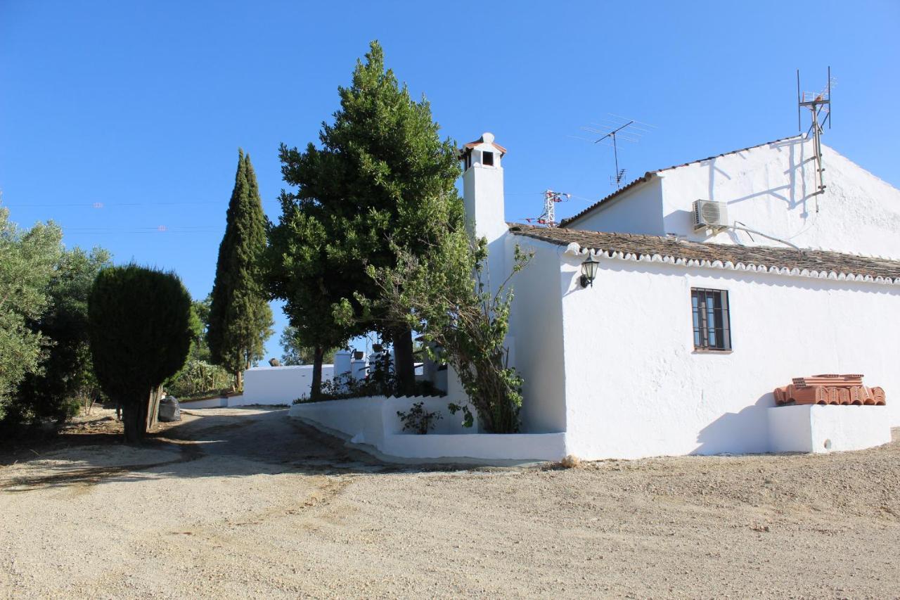Casa Rural Faltriquera Setenil Setenil De Las Bodegas المظهر الخارجي الصورة