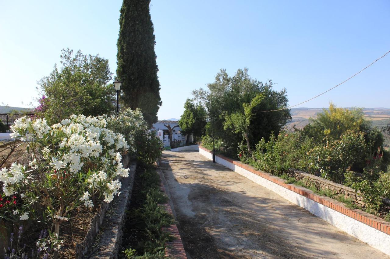 Casa Rural Faltriquera Setenil Setenil De Las Bodegas المظهر الخارجي الصورة