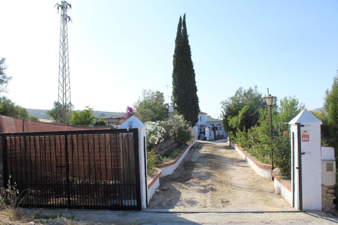 Casa Rural Faltriquera Setenil Setenil De Las Bodegas المظهر الخارجي الصورة