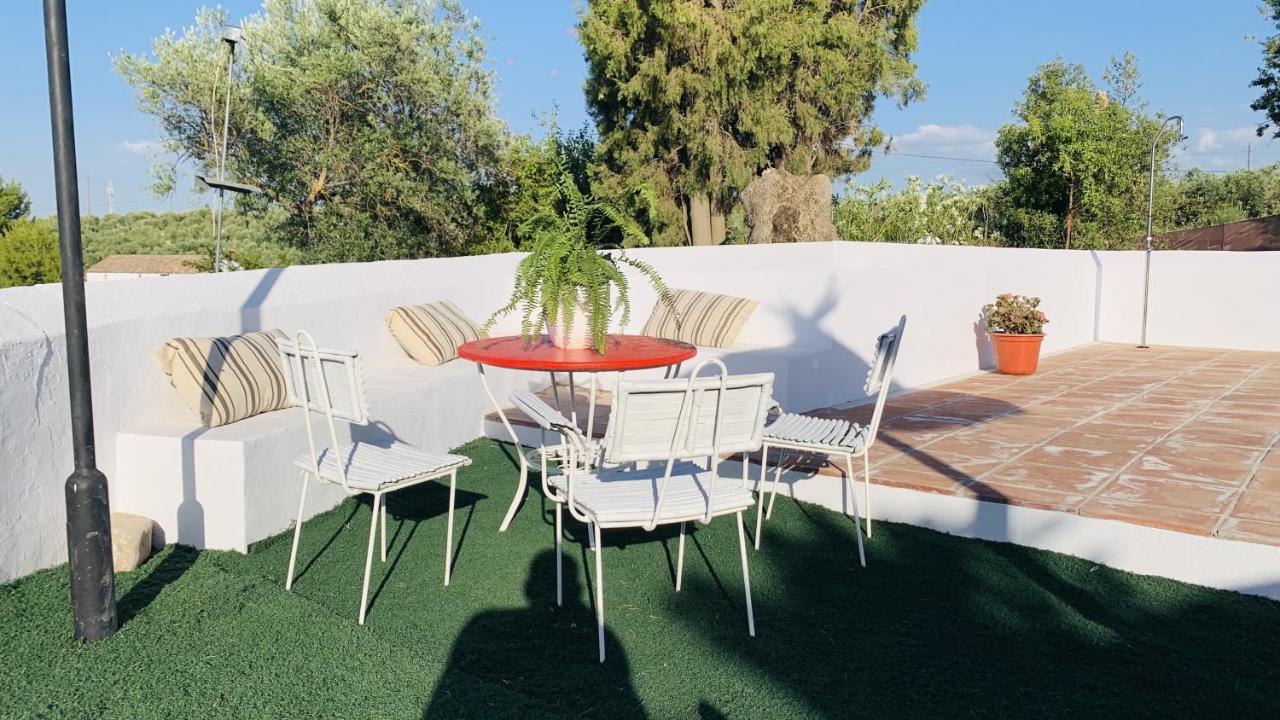 Casa Rural Faltriquera Setenil Setenil De Las Bodegas المظهر الخارجي الصورة