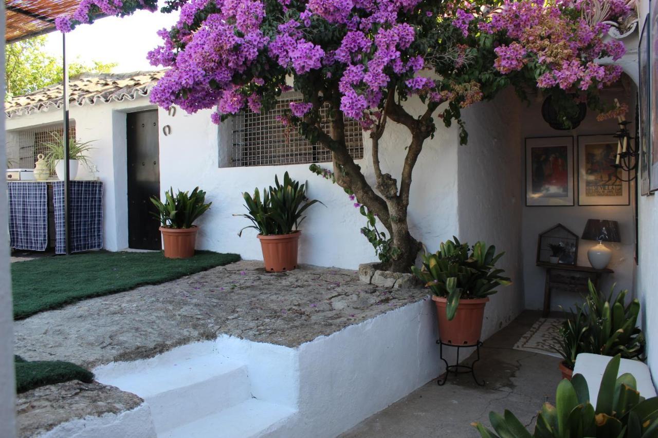 Casa Rural Faltriquera Setenil Setenil De Las Bodegas المظهر الخارجي الصورة